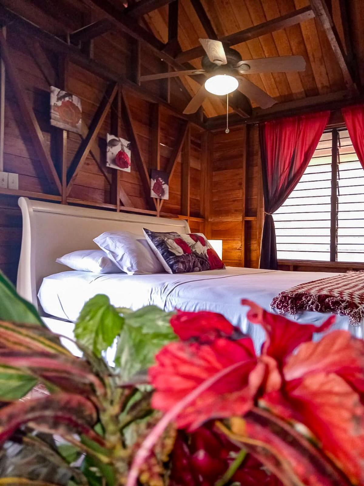 Villa Bahia Del Sol 博卡斯德尔托罗 外观 照片
